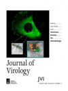 JOURNAL OF VIROLOGY雜志封面